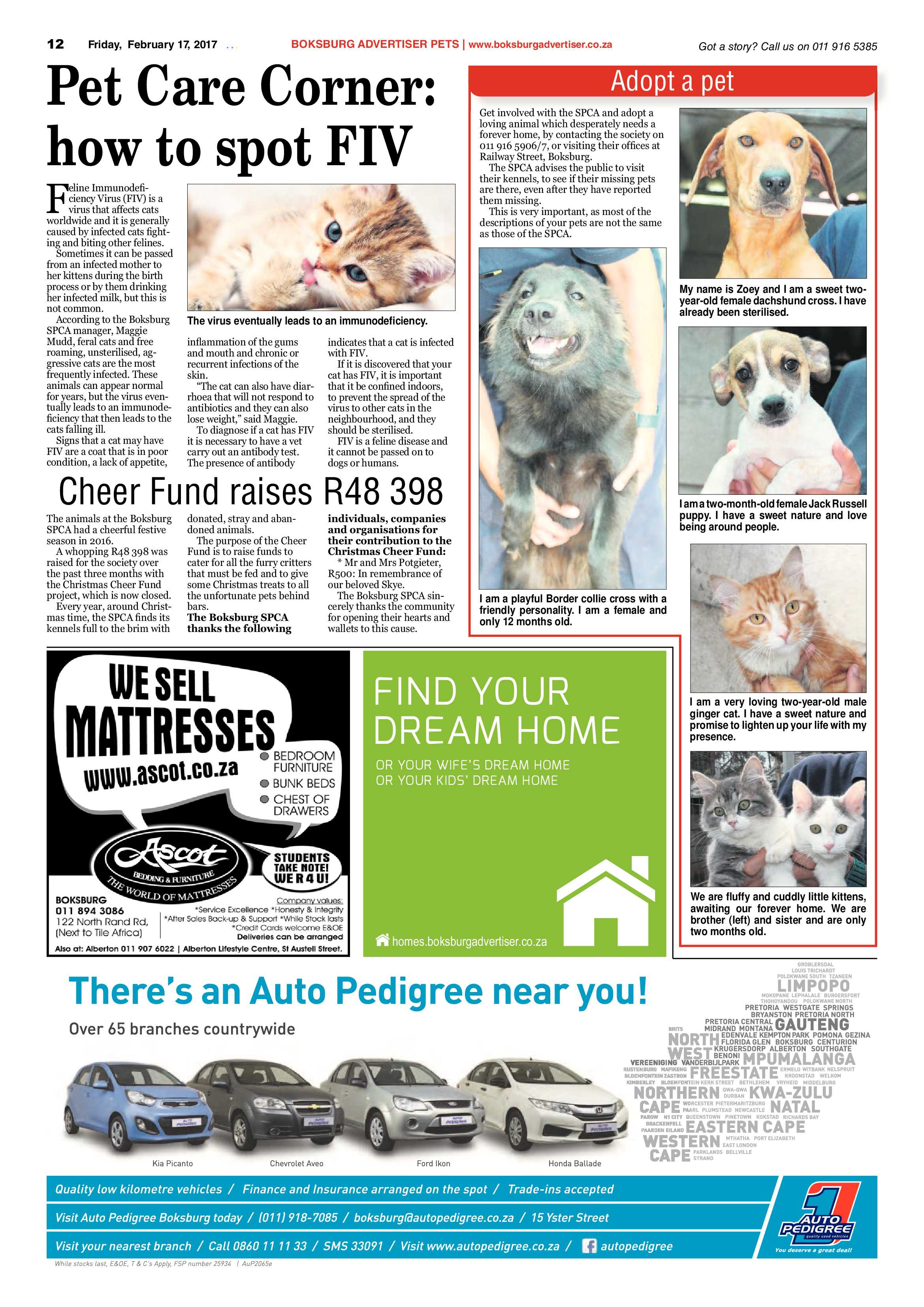 Boksburg Advertiser 14 February 2017 page 12