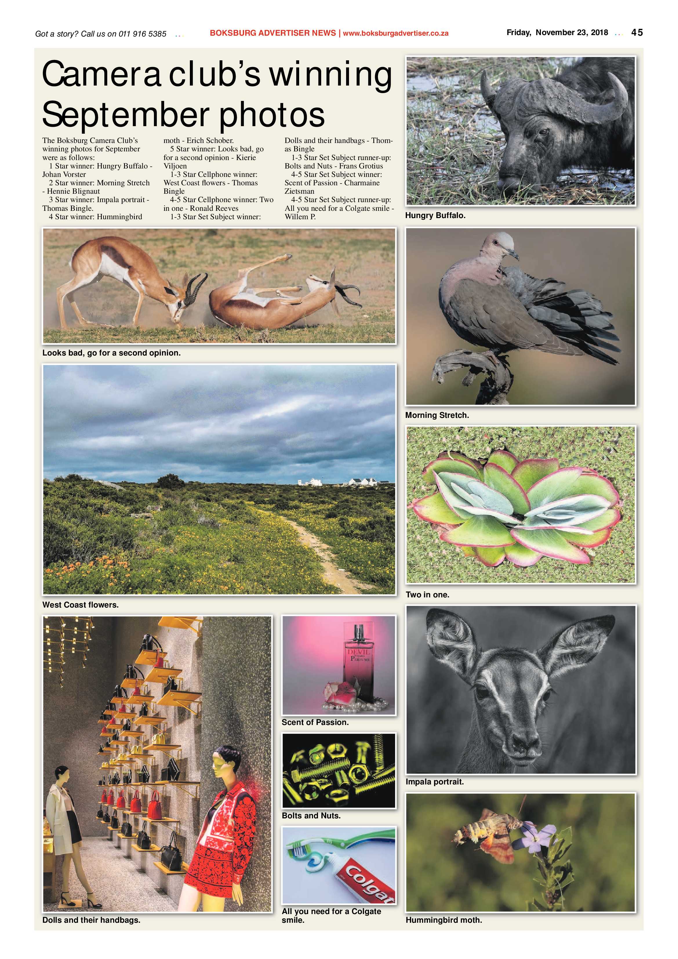 Boksburg Advertiser 20 November 2018 page 45